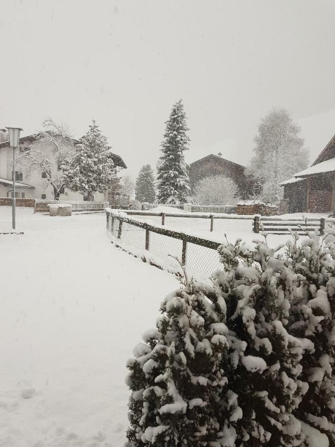 Haus Wiesenheim Fw Oetztal Längenfeld Dış mekan fotoğraf