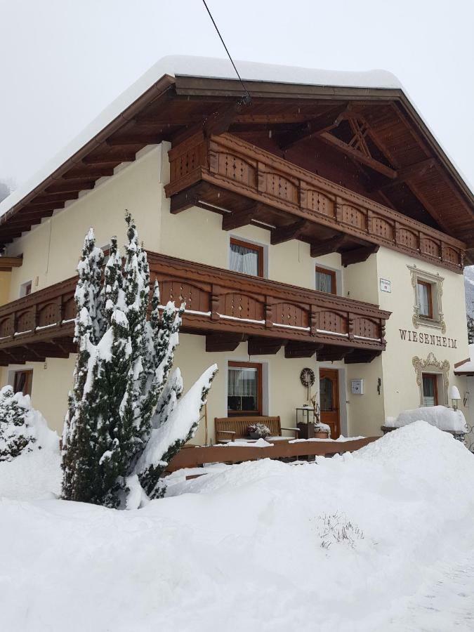 Haus Wiesenheim Fw Oetztal Längenfeld Dış mekan fotoğraf